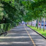 Duas ruas do centro de Tijucas passam a integrar sistema binário de trânsito