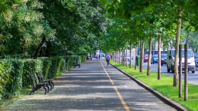 Duas ruas do centro de Tijucas passam a integrar sistema binário de trânsito